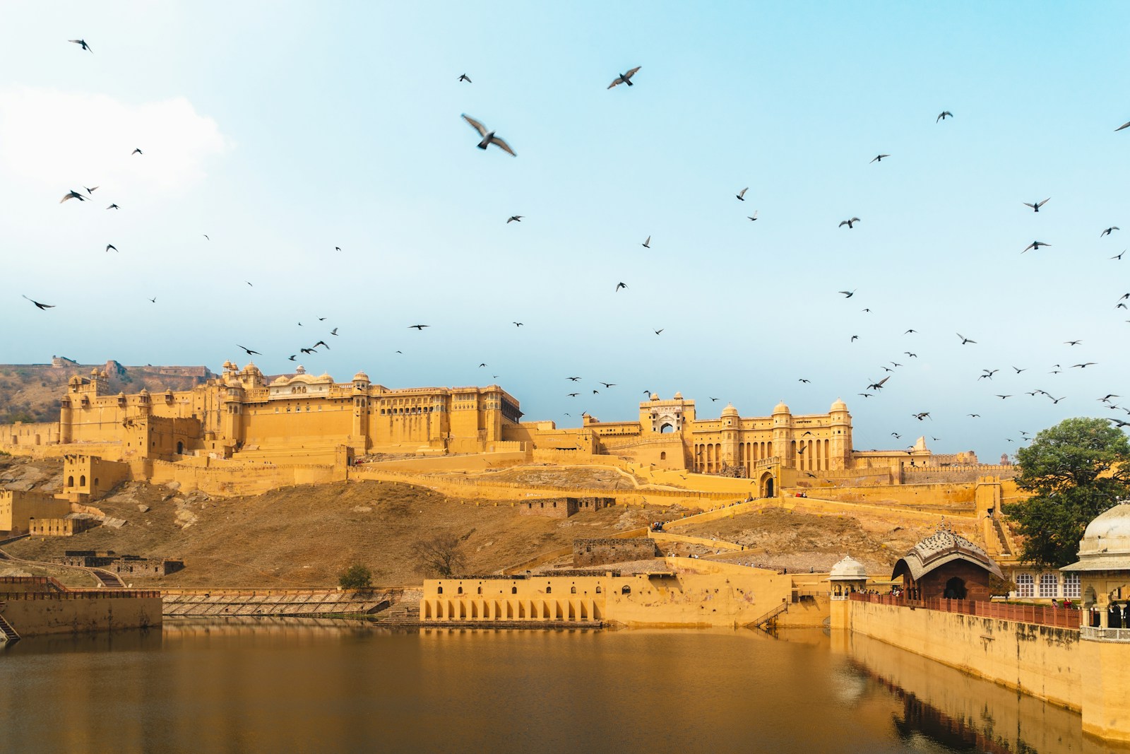 आमेर किले के सामने झील और आसमान में उड़ते पक्षी